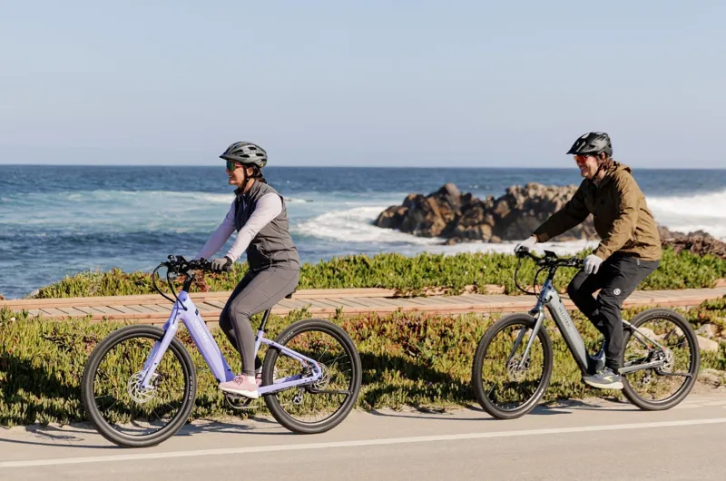 VELOTRIC BREEZE BIKE REGULAR VIOLET HAZE-3