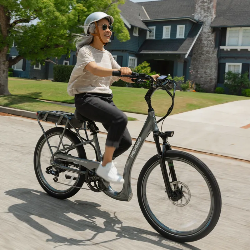 Pedego Boomerang Platinum P749 Electric Bike in Granite-3
