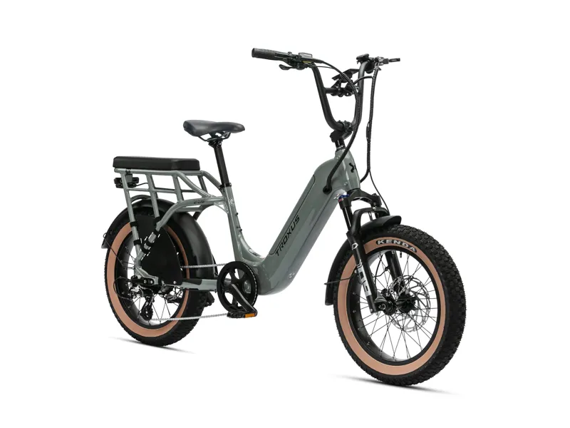 Troxus Lynx 2-Up E-Bike-1