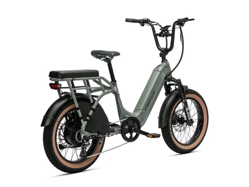 Troxus Lynx 2-Up E-Bike-3