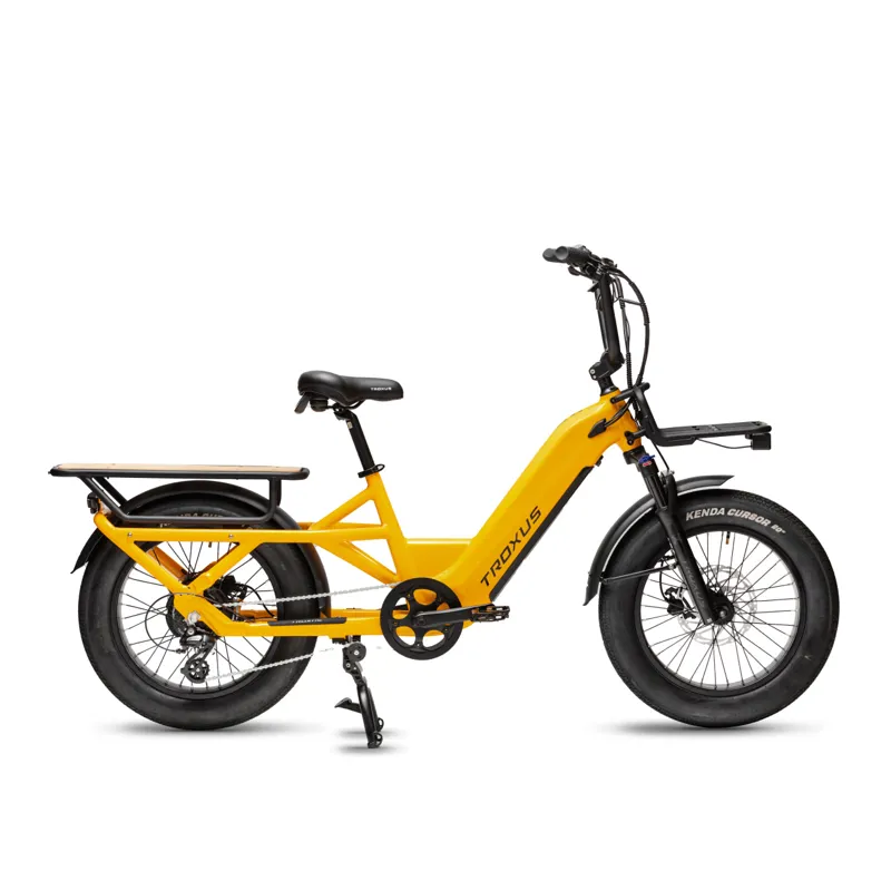 Troxus Lynx Cargo E-bike in Mango