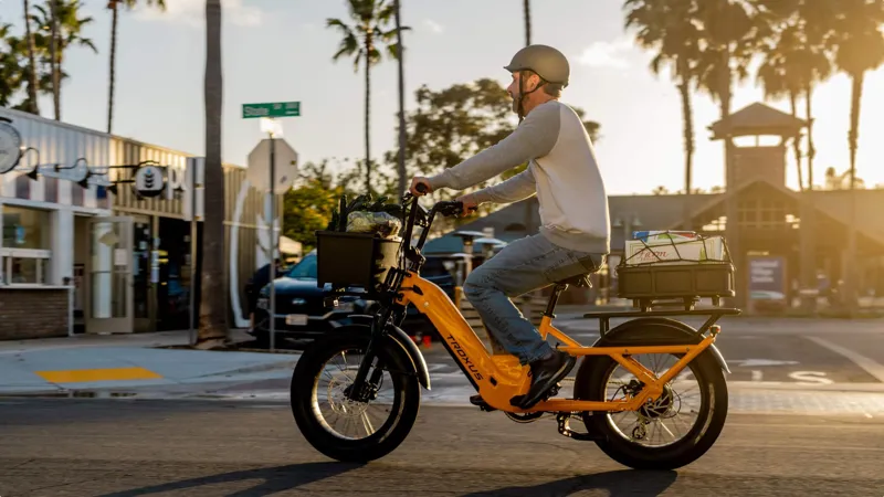 Troxus Lynx Cargo E-bike in Mango-9